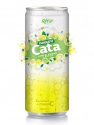 330ml Carbonated Lime - Lemon Flavor Drink